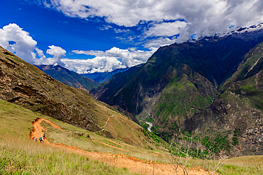 Scenery along the Choquequirao trail, Peru, South America