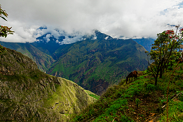 Scenery along the Choquequirao trail, Peru, South America