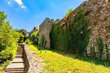 Horizontal shot at ground level of a cobblestone path and steps beside an ivy-covered stone wall at a monastery near Lake Ohrid, under a bright midday sky.