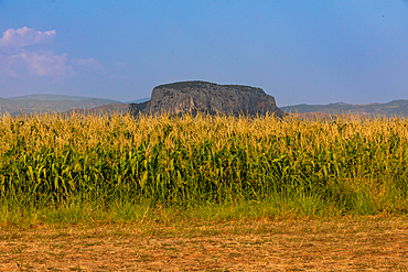 Landscape orientation view of a cornfield with a large flat-topped rock formation in the distance under a clear summer sky, Meteora, Thessaly, Greece.