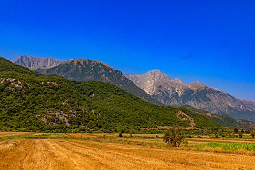 Landscape orientation view of golden harvested fields at the base of green hills, with rugged mountains in the background under a clear blue sky in southern Albania.
