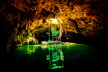 Dos Ojos Cenote in Tulum, Yucatan, Quintana Roo, Mexico, North America