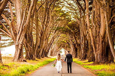 Couple in engagement dress, Marin, California, United States of America, North America