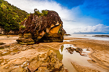 Bako National Park, Kuching, Sarawak, Borneo, Malaysia, Southeast Asia, Asia