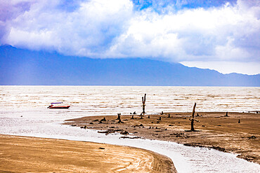 Scenery in Bako National Park, Kuching, Sarawak, Borneo, Malaysia, Southeast Asia, Asia