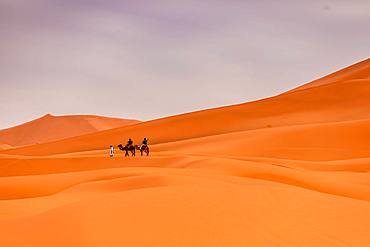 Merzouga Desert, Morocco, North Africa, Africa