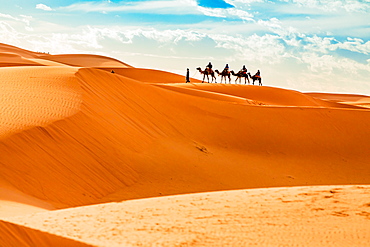 Merzouga Desert, Morocco, North Africa, Africa