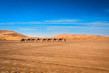 Merzouga Desert, Morocco, North Africa, Africa