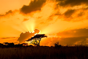 Sunset, Zululand, South Africa, Africa