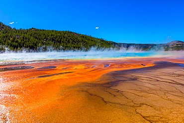 Grand Prismatic Spring, Yellowstone National Park, UNESCO World Heritage Site, Wyoming, United States of America, North America