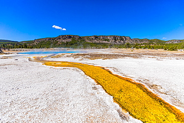 West Thumb Geyser Basin in Yellowstone National Park, UNESCO World Heritage Site, Wyoming, United States of America, North America