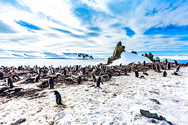 Scenic view of Chinstrap Penguins and glaciers in Antarctica, Polar Regions