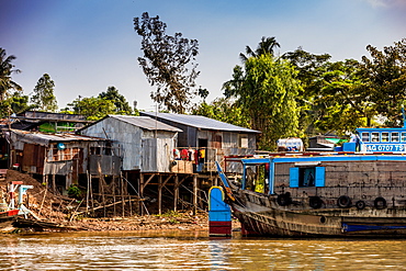 Village life on the Mekong Delta, Vietnam, Indochina, Southeast Asia, Asia