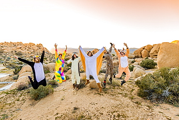 Group of friends in spirit animal onesies celebrating the new year in Joshua Tree, California, United States of America, North America