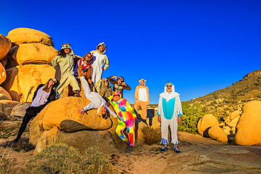 Group of friends in spirit animal onesies celebrating the new year in Joshua Tree, California, United States of America, North America