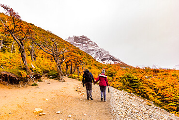 Enjoying the peaceful and beautiful scenery of Torres del Paine National Park, Patagonia, Chile, South America