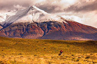 Beautiful scenery in Torres del Paine National Park, Patagonia, Chile, South America