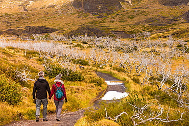 Enjoying the peaceful and beautiful scenery of Torres del Paine National Park, Patagonia, Chile, South America