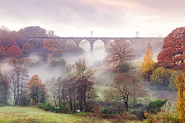 Morning mist swirling among the autumn coloured trees and railway viaduct at Dane-In-Shaw Pasture