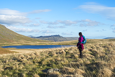 A woman trekking in the English Lake District in Wasdale looks towards Burnmoor Tarn, Lake District National Park, Cumbria, England, United Kingdom, Europe