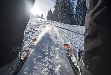 Point of view shot through the legs, of the slopes skiing near Garmisch, Bavaria, Germany, Europe