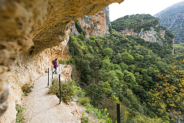 A woman hiking in the Taygetos Mountains above Mystras in the Peloponnese, Greece, Europe