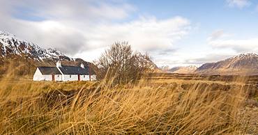 Black Rock Cottage and Buachaille Etive Mor in the Scottish Highlands along the West Highland Way near Glen Coe, Highlands, Scotland, United Kingdom, Europe