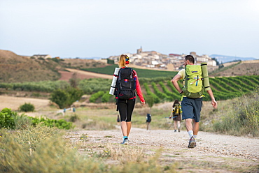 Pilgrims walking the Camino de Santiago (The Way of St. James) towards little village of Cirauqui, Navarre, Spain, Europe