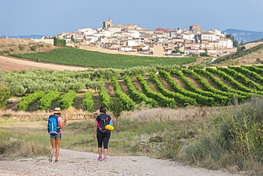 Pilgrims walking the Camino de Santiago (The Way of St. James) towards little village of Cirauqui, Navarre, Spain, Europe