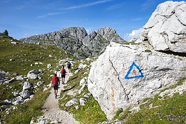 Walkers hiking through the Dolomites range of the Alps along the Alta Via 1 trekking route, Belluno, Veneto, Italy, Europe