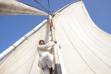 An Egyptian man climbs the mast of a traditional Felucca sailboat with wooden masts and cotton sails on the River Nile, Aswan, Egypt, North Africa, Africa