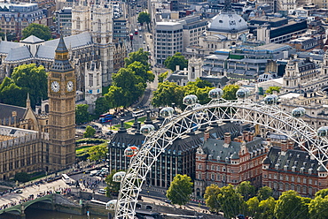 The London Eye and Jubilee Gardens with the Houses of Parliament in the distance, London, England, United Kingdom, Europe