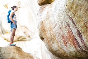 San rock art cave paintings on the wall of a rocky overhang in the Cederberg, Western Cape, South Africa, Africa