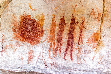 San rock art cave paintings on the wall of a rocky overhang in the Cederberg, Western Cape, South Africa, Africa