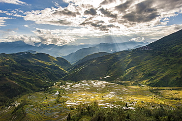 The Yuanyang terraced rice paddies in China have been fashioned over hundreds of years by the Hani, Yunnan Province, China, Asia