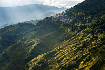 The Yuanyang terraced rice paddies in China have been fashioned over hundreds of years by the Hani, Yunnan Province, China, Asia