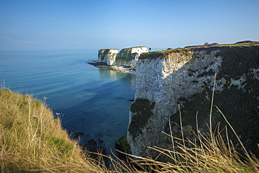 A woman looks out at Old Harry Rocks at Studland Bay in Dorset on the Jurassic Coast, UNESCO World Heritage Site, Dorset, England, United Kingdom, Europe