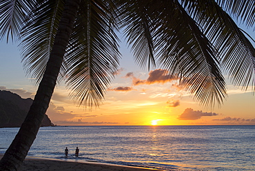 A view out to sea at sunset beneath the palm trees at Castara Bay in Tobago, Trinidad and Tobago, West Indies, Caribbean, Central America