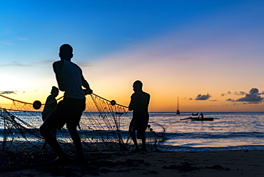 Seine net fishermen haul in a catch of fish in Castara Bay on the Caribbean island of Tobago, Trinidad and Tobago, West Indies, Caribbean, Central America