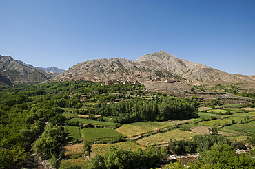 A village and terraced fields of wheat and potatoes in the Panjshir valley in Afghanistan, Asia