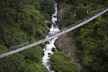 Hiking the trail between Riverside and Thulo Sypro in the Langtang Region, Nepal, Himalayas, Asia