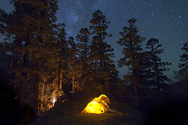 Tents glow from their inhabitants head torches in a camp perched among trees in Dolpa, a remote region of Nepal, Asia