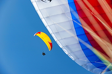 Looking up to another paraglider, Nepal, Asia