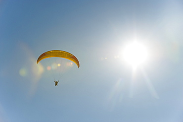 A paraglider nears the landing zone above Phewa Lake in Nepal, Asia