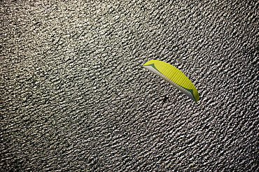 A paraglider nears the landing zone above Phewa Lake, Nepal, Asia