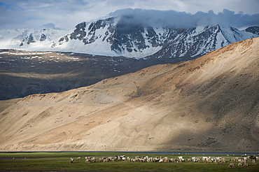 Mountains in Ladakh, Himalayas, India, Asia