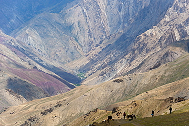 Trekkers and ponies make their way down from the Konze La during the Hidden Valleys trek in Ladakh, Himalayas, India, Asia