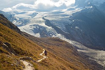 Running a trail in the Swiss Alps near Zermatt with a view of Monte Rosa in the distance, Zermatt, Valais, Switzerland, Europe