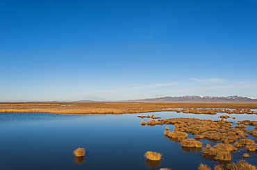 Huahu (Flower Lake), an important wetland area which supports a large array of biodiversity on the Tibetan plateau, Sichuan Province, China, Asia