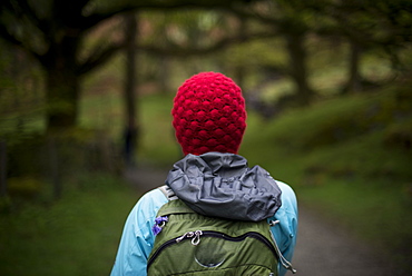 A woman walks in the woods near Grasmere in The Lake District, Cumbria, England, United Kingdom, Europe